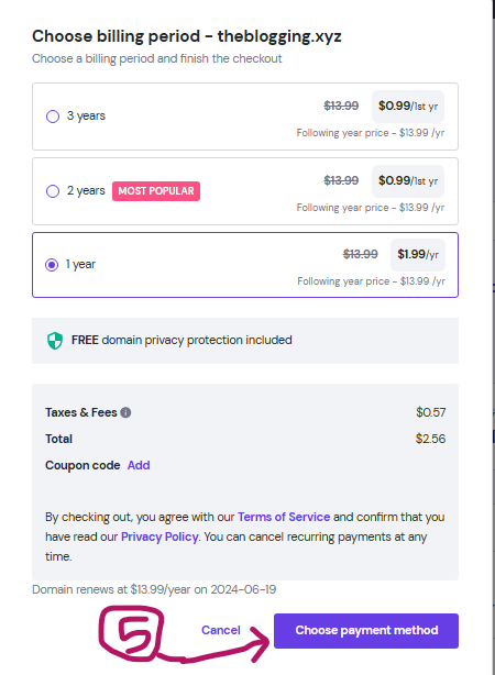 Choose-domain-billing-priod