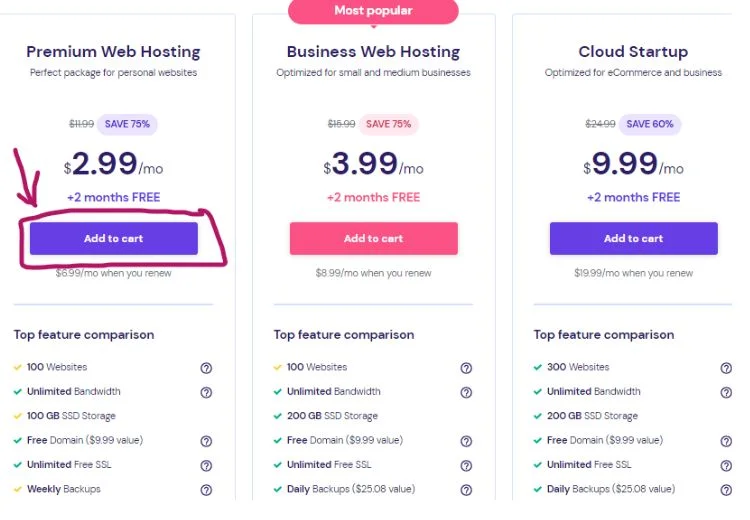 Choose a web hosting plan
