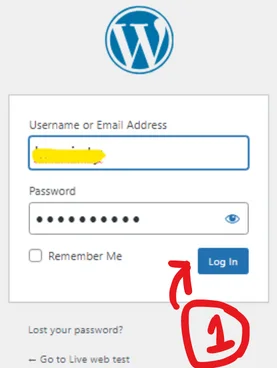 Login page view of the WordPress website